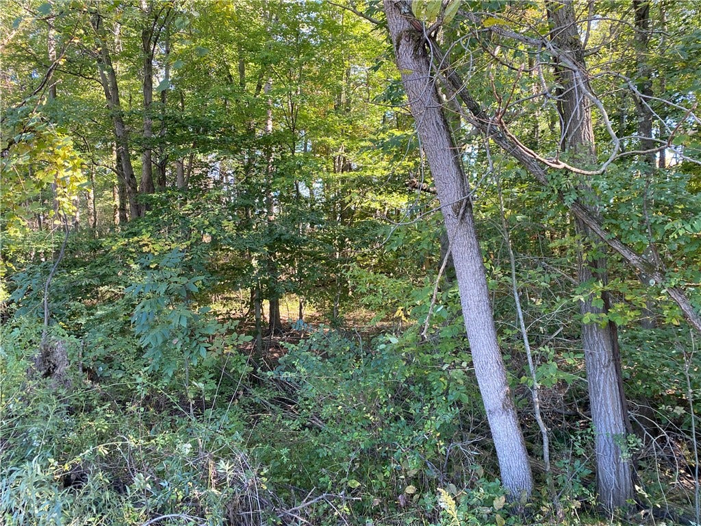 0 Carlyn Drive, Saegertown, PA 16433 0 Carlyn Drive, Saegertown, PA 16433
