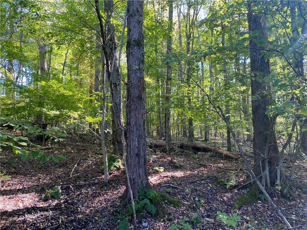0 Carlyn Drive, Saegertown, PA 16433 0 Carlyn Drive, Saegertown, PA 16433