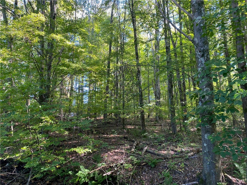 0 Carlyn Drive, Saegertown, PA 16433 0 Carlyn Drive, Saegertown, PA 16433
