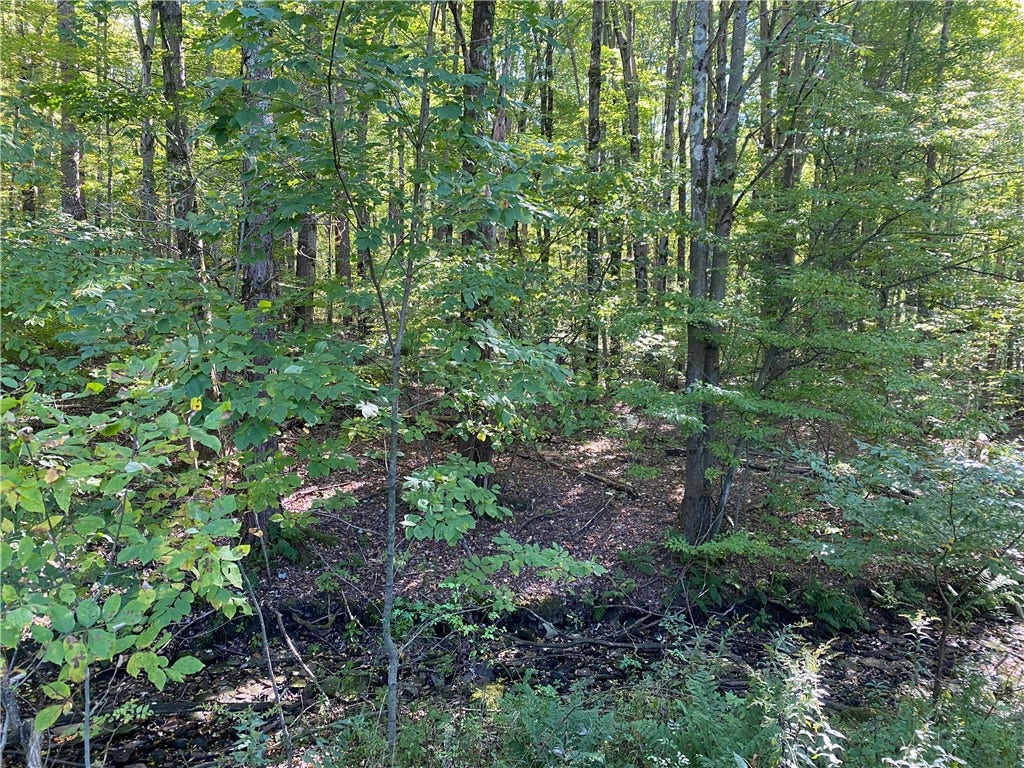 0 Carlyn Drive, Saegertown, PA 16433 0 Carlyn Drive, Saegertown, PA 16433