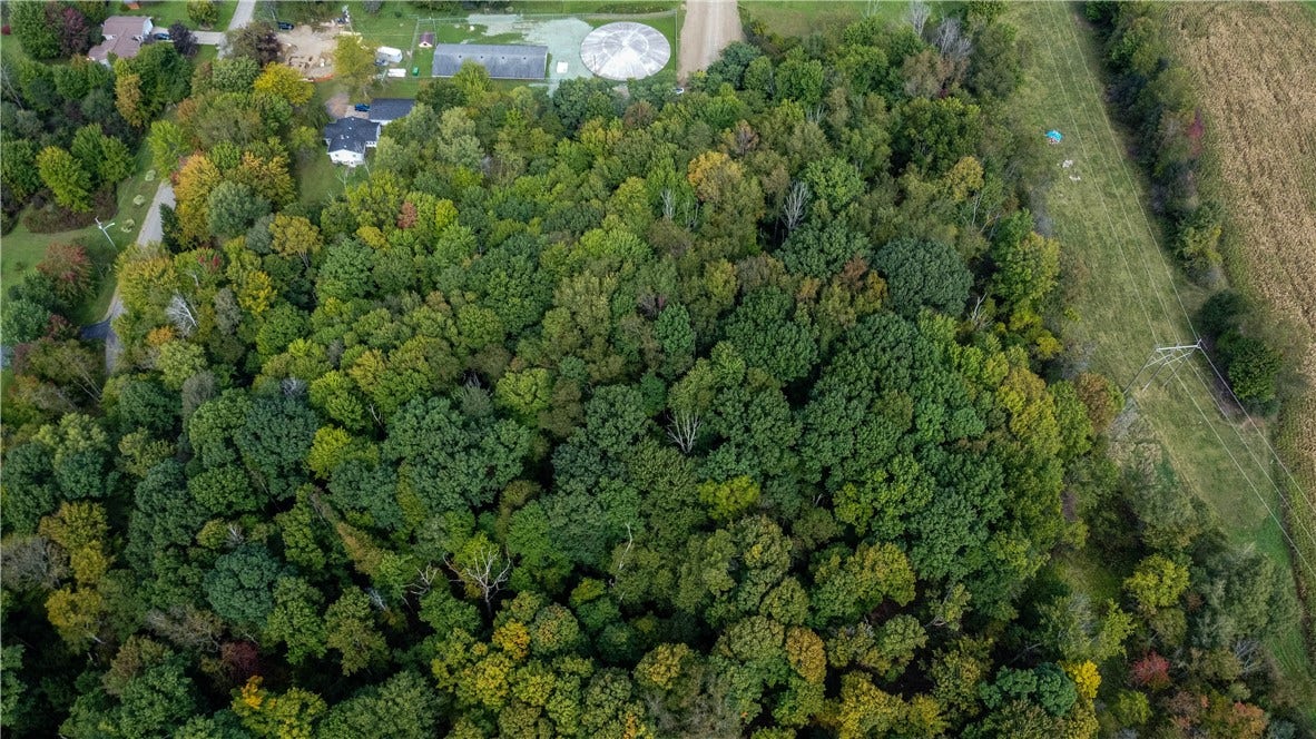 0 Carlyn Drive, Saegertown, PA 16433 0 Carlyn Drive, Saegertown, PA 16433
