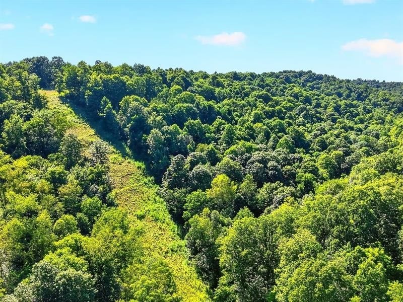 78 Sprowls Rd, Claysville, PA 15323