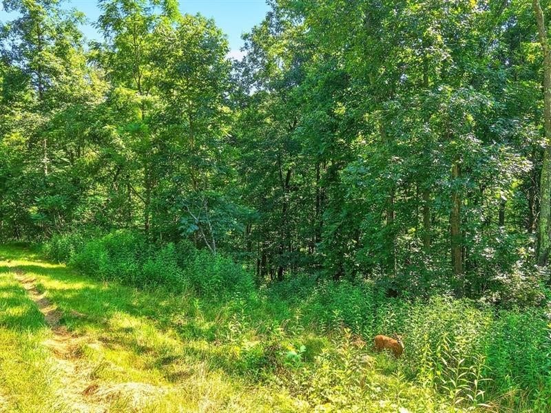 78 Sprowls Rd, Claysville, PA 15323 78 Sprowls Rd, Claysville, PA 15323