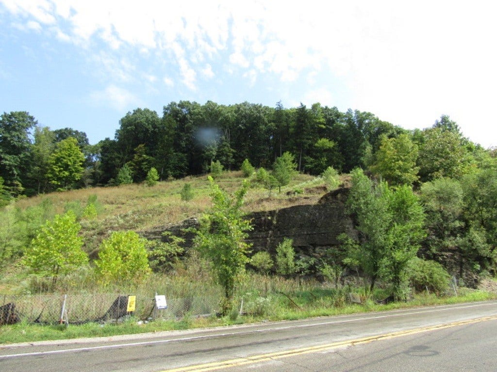 541 Rochester Rd., Ross Twp, PA 15237